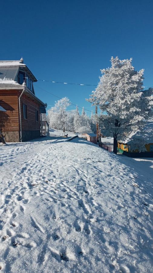 Gutsulska Oselya Villa Krivopol'ye Exteriör bild