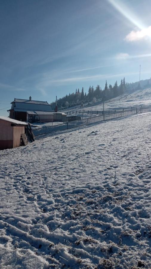 Gutsulska Oselya Villa Krivopol'ye Exteriör bild