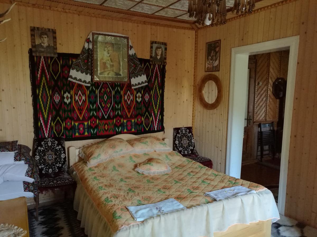 Gutsulska Oselya Villa Krivopol'ye Exteriör bild